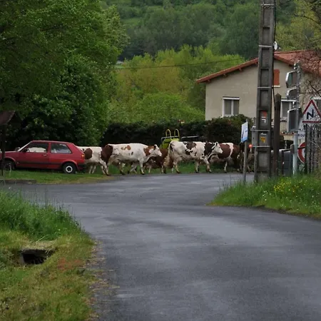 Les 5 Noyers Pensión Saint-Ilpize
